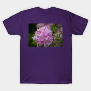 April Azalea T-Shirt